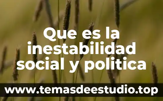 Que es la inestabilidad social y politica