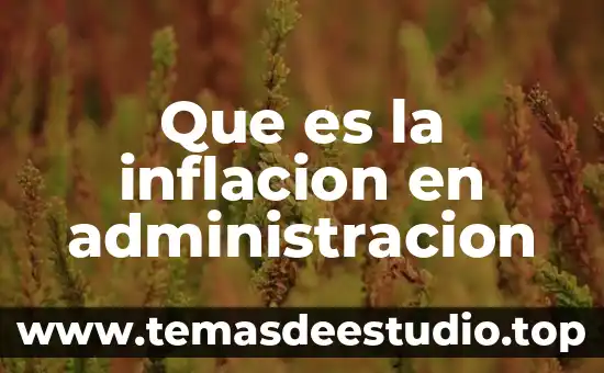 Que es la inflacion en administracion