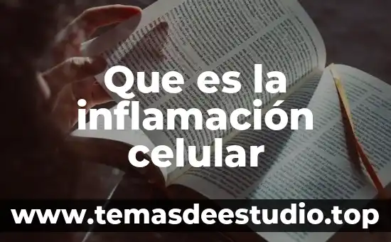 Que es encriptación en un celular 7 Que es la inflamación celular