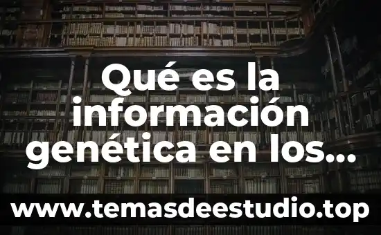 Qué es la información genética en los seres humanos