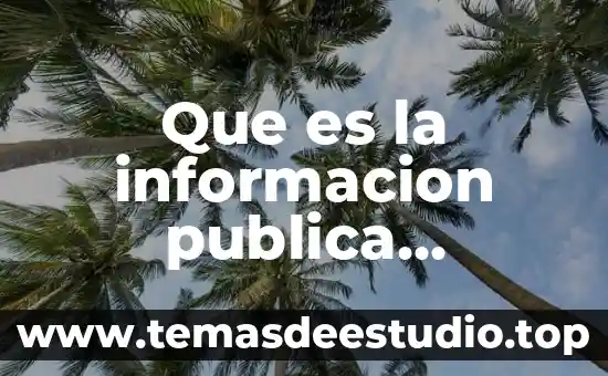 Que es la informacion publica gubernamental