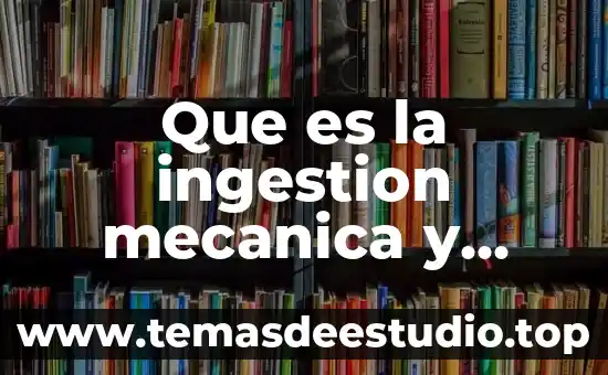 Que es la ingestion mecanica y quimica