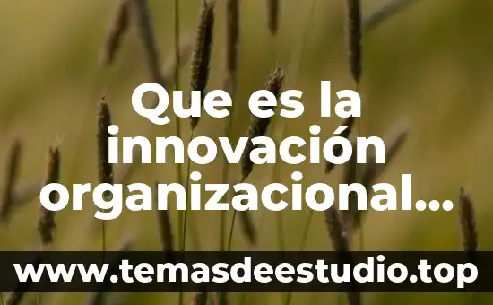 Que es un proyecto de innovacion autores 8 Que es la innovación organizacional en una empresa