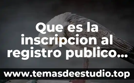 Que es un registro reach 4 Que es la inscripcion al registro publico de comercio