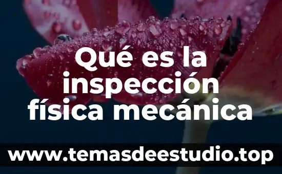 Qué es suministrada concepto 8 Qué es la inspección física mecánica