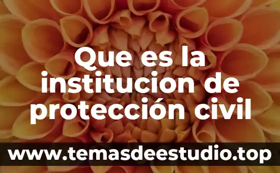 Qué es la cultura organizacional de una institución educativa 4 Que es la institucion de protección civil