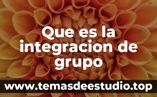 Que es la integracion de grupo