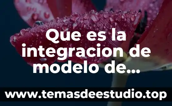 Que es un modelo de cálculo en arquitectura 3 Que es la integracion de modelo de madurez de integracion