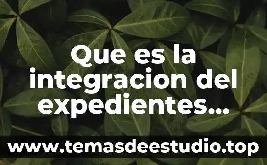 Que es la entrevista personal en la tecnica cualitativa 5 Que es la integracion del expedientes del personal contratado