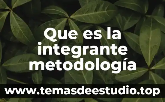 Que es la integrante metodología