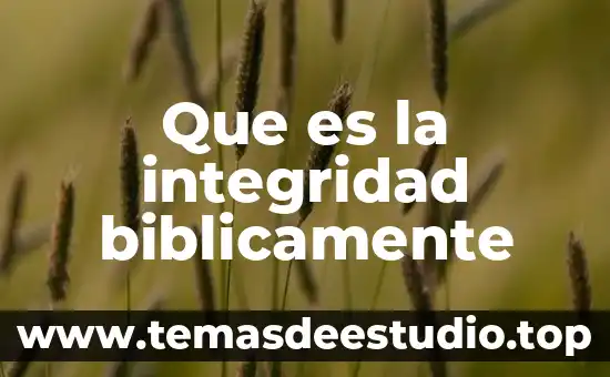 Investigas que es libertad 7 Que es la integridad biblicamente