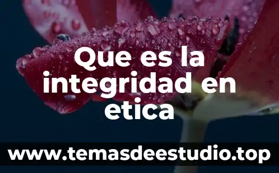 Que es la integridad en etica