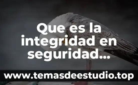 Que es la integridad en seguridad informatica
