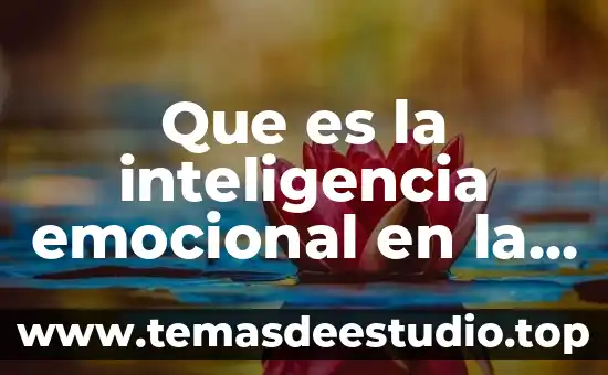 Que es la inteligencia emocional en la educacion