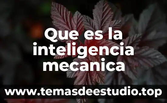 Que es mas importante la inteligencia o el sentido comun 3 Que es la inteligencia mecanica