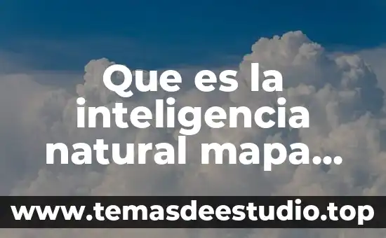 Que es la historia conceptual y ejemplo 3 Que es la inteligencia natural mapa conceptual