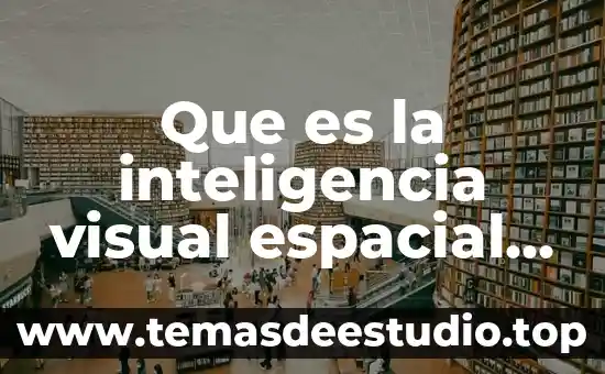 Que es mas importante la inteligencia o el sentido comun 8 Que es la inteligencia visual espacial yahoo