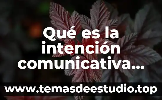 Qué es un relato literario y cuáles son 3 Qué es la intención comunicativa de lenguaje literario