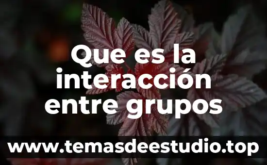 Que es la importancia de los grupos y asociaciones 6 Que es la interacción entre grupos