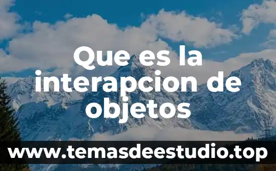 Que es persistencia de objetos 4 Que es la interapcion de objetos