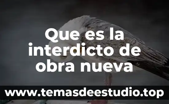 Qué es el número VIN de un coche 8 Que es la interdicto de obra nueva