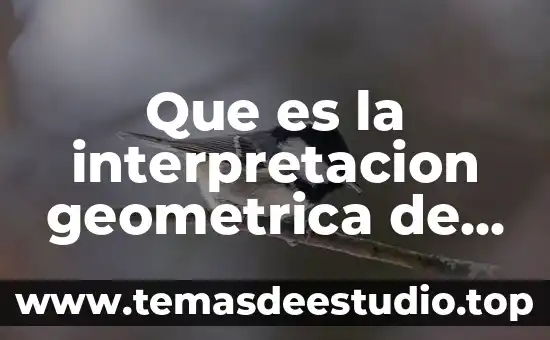 Que es la razon de cambio de la derivada 6 Que es la interpretacion geometrica de la derivada yahoo