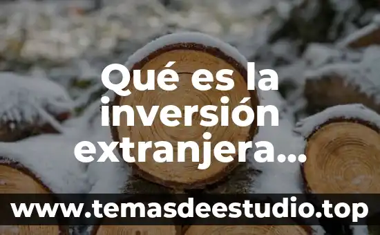 Qué es la sociedad extranjera 3 Qué es la inversión extranjera directa