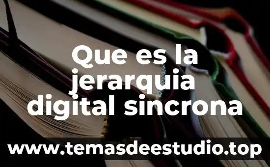Qué es la jerarquía en ética 6 Que es la jerarquia digital sincrona