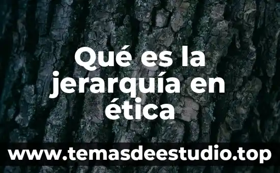 Qué es un mapa de jerarquía 3 Qué es la jerarquía en ética