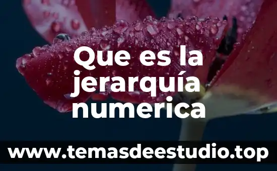 Que es corresponsabilidad ente representacion numerica y grafica 5 Que es la jerarquía numerica