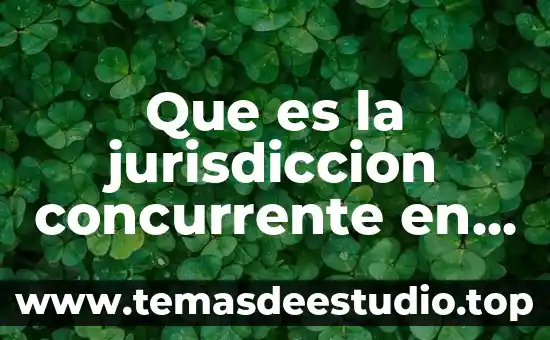 Ley de economía del conocimiento que es 5 Que es la jurisdiccion concurrente en derecho