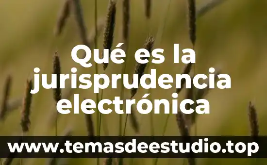 Qué es la jurisprudencia electrónica