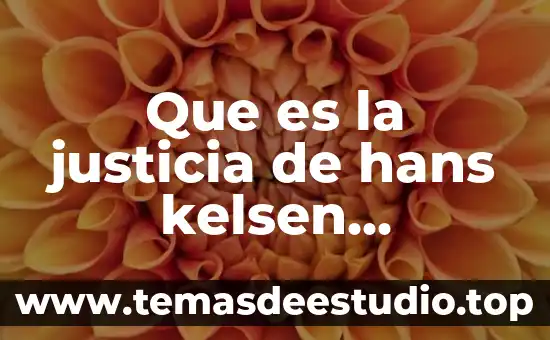 Para kelsen que es el objet 7 Que es la justicia de hans kelsen resumen