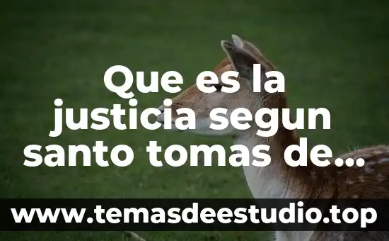 Para Santo Tomás qué es el concepto de la felicidad 5 Que es la justicia segun santo tomas de aquino