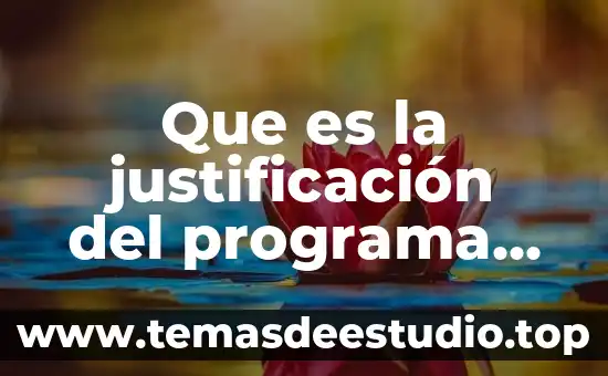 Que es la justificación del programa de ventas