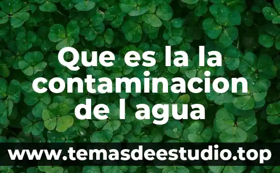 Que es la contaminacion termica definicion 3 Que es la la contaminacion de l agua