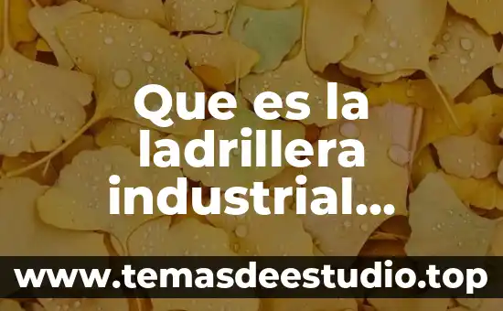 Qué es el dibujo industrial 3 Que es la ladrillera industrial ceramica joven