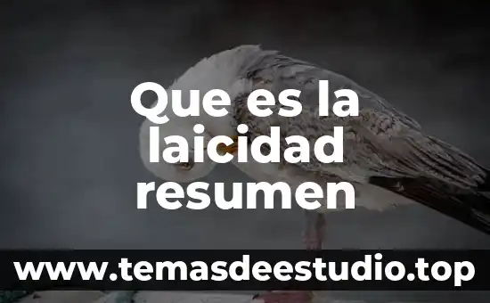 Que es fetiche resumen 4 Que es la laicidad resumen
