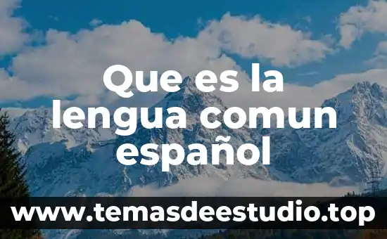 Qué es asma bronquial nombre común 3 Que es la lengua comun español