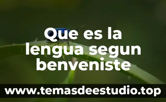 Qué es y para qué nos sirve flor de calendula 4 Que es la lengua segun benveniste