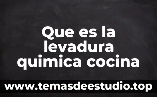Que es la levadura quimica cocina