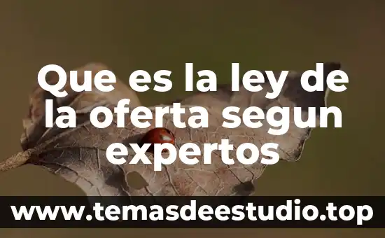 Qué es supervisión según autores 3 Que es la ley de la oferta segun expertos