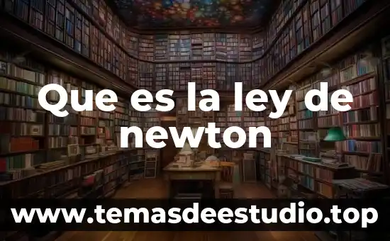 Que es el calculo segun newton 4 Que es la ley de newton