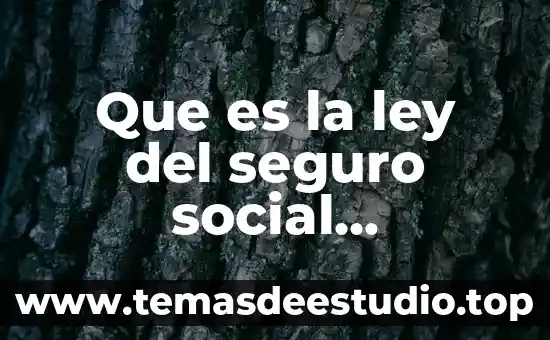 Qué es la sociedad com en informática 6 Que es la ley del seguro social definicion