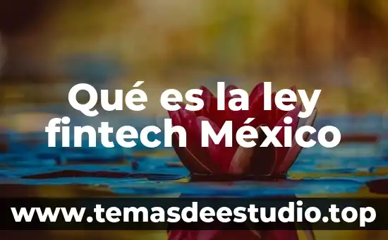 Qué es la ley fintech México