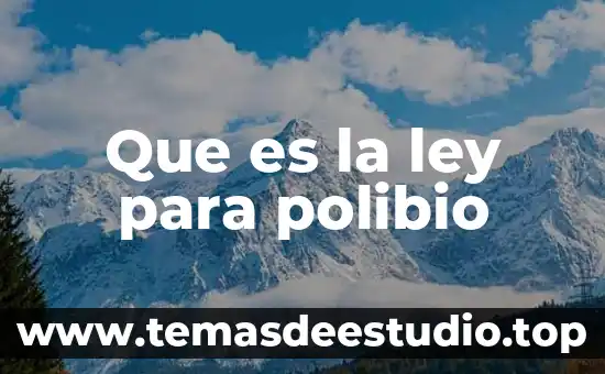 Ley antilavado que es 3 Que es la ley para polibio