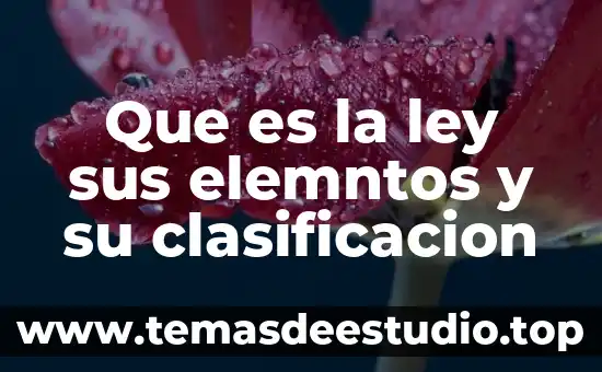 Prestaciones superiores a la ley que es 7 Que es la ley sus elemntos y su clasificacion