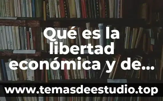 Qué es la libertad económica y de empresa