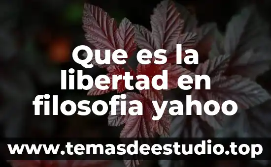 Filosofía que es la ley 3 Que es la libertad en filosofia yahoo