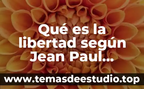 Qué es el sistema prisma Paul 5 Qué es la libertad según Jean Paul Sartre